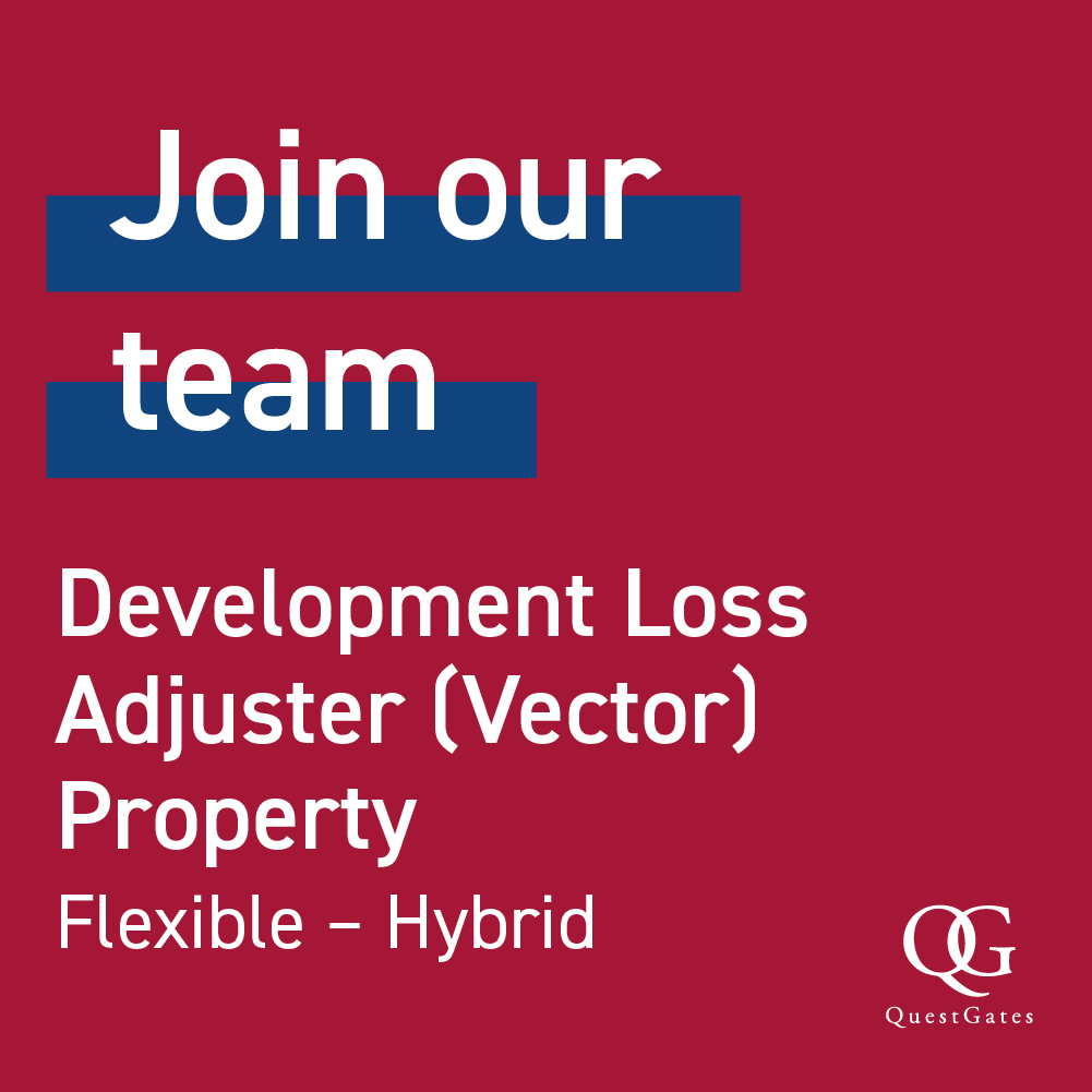 Development Loss Adjuster